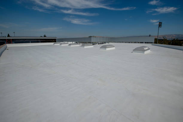 Best Chimney Flashing Repair  in Water Valley, MS
