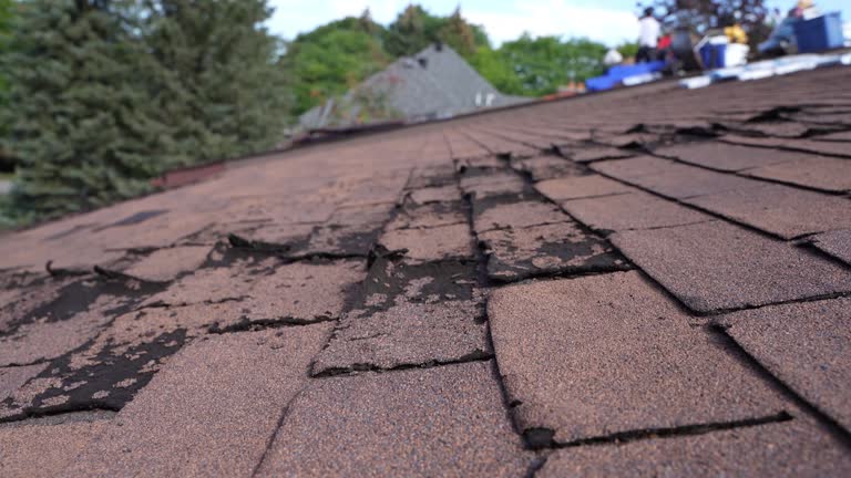Best Hot Roofs  in Water Valley, MS