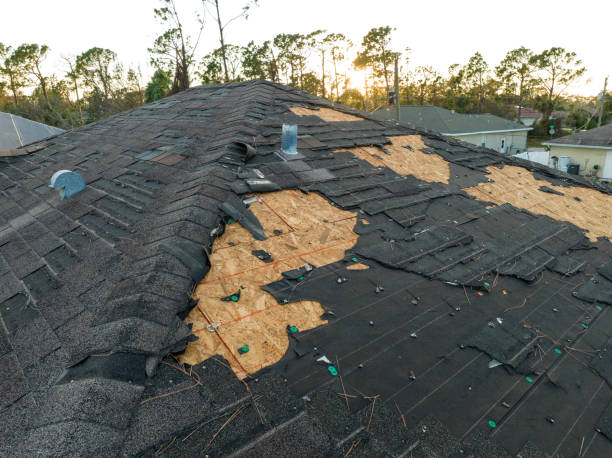 Best Roofing for New Construction  in Water Valley, MS