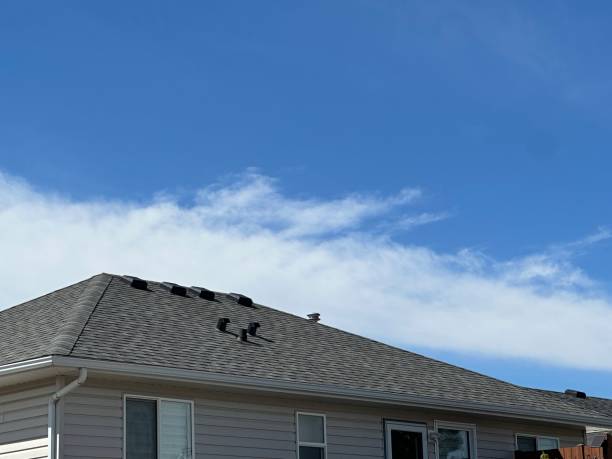 Reliable Water Valley, MS Roofing Service Solutions